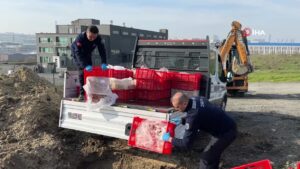 Esenyurt’ta Halk Sağlığını Tehdit Eden İşletme Mühürlendi: Kaçak ve Sağlıksız 1 Ton Tavuk Eti İmha Edildi!
