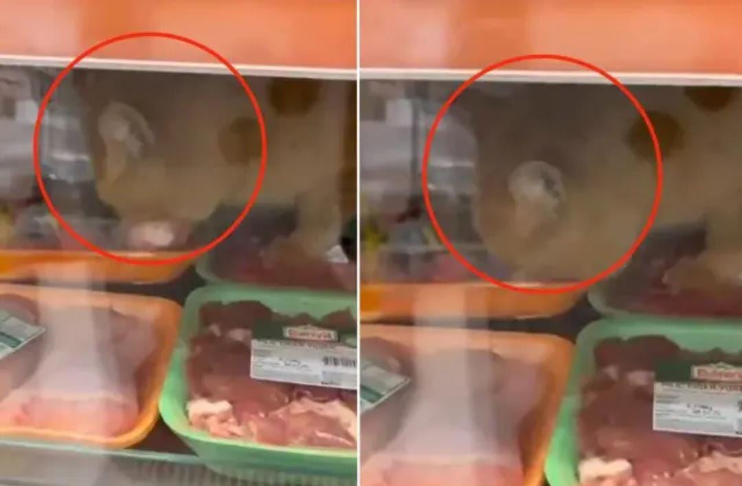 Zincir markette mide bulandıran skandal! Gören hemen kayda girdi