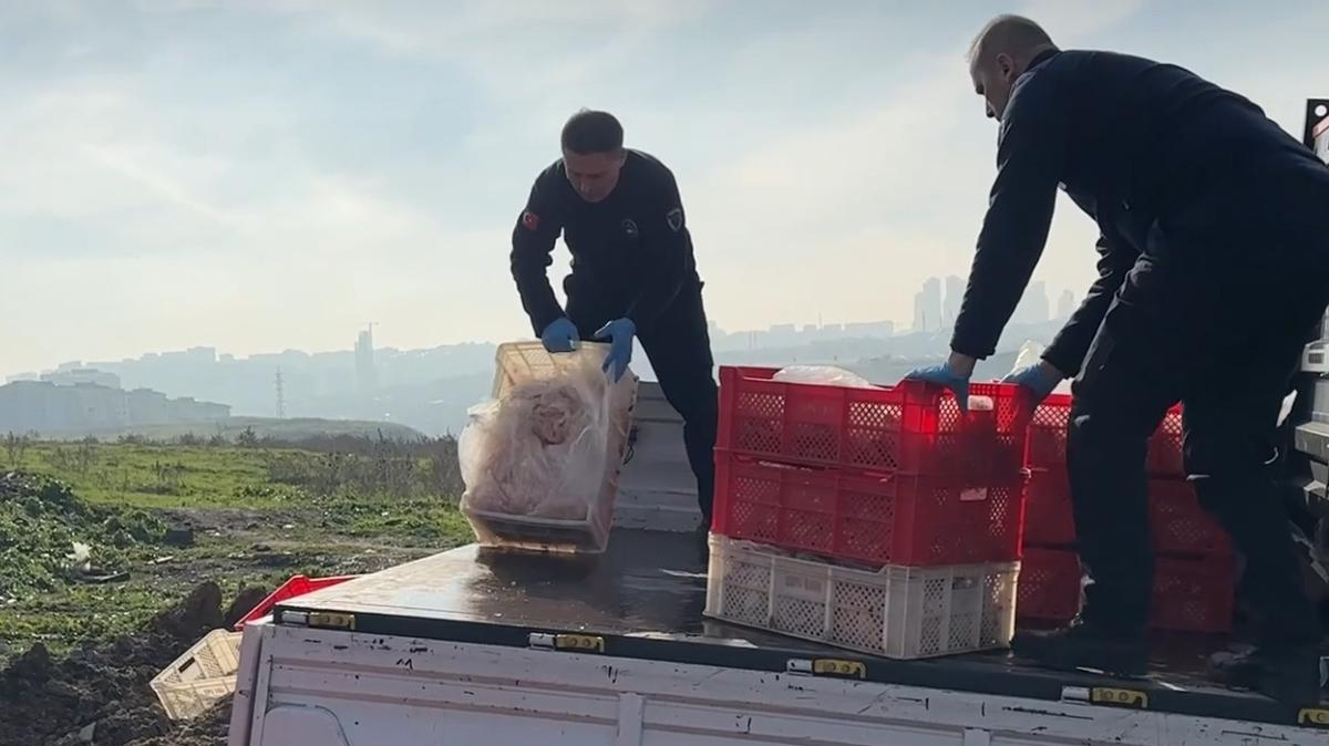 Esenyurt’ta Halk Sağlığını Tehdit Eden İşletme Mühürlendi: Kaçak ve Sağlıksız 1 Ton Tavuk Eti İmha Edildi!
